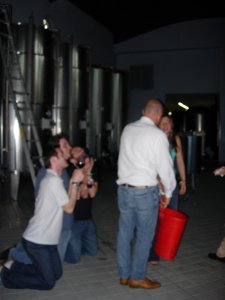 prev-img-029.jpg